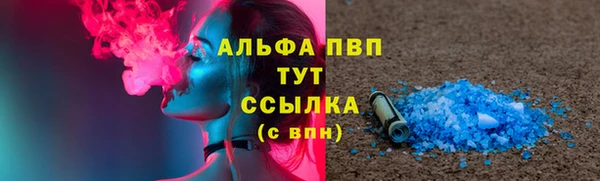 стафф Баксан