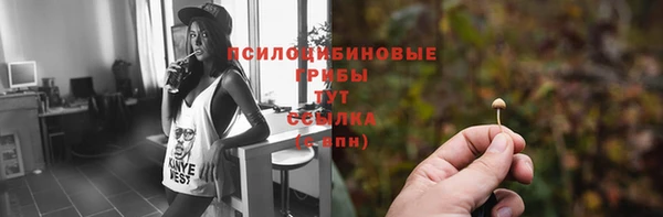 спиды Балахна