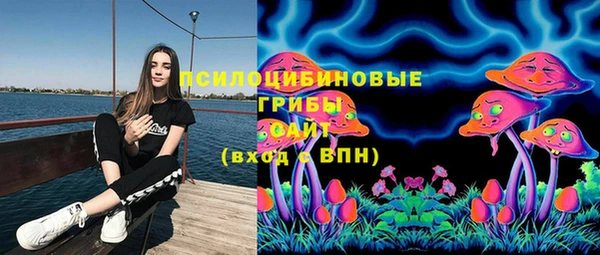 спиды Балахна