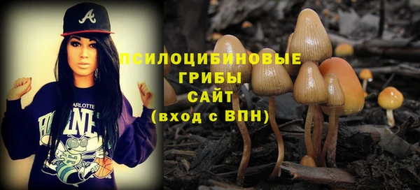 стафф Баксан
