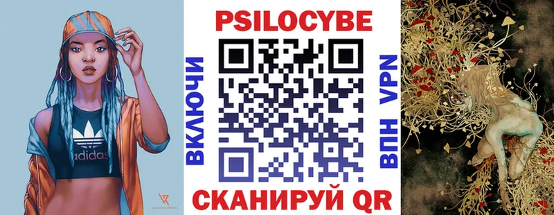 Купить закладки  Десногорск  Галлюциногенные грибы Psilocybine cubensis 